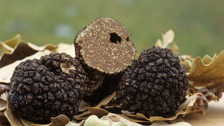 Truffle
