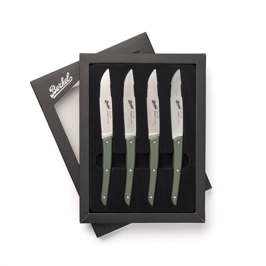 Berkel Color Set of 4 Steak Knives
