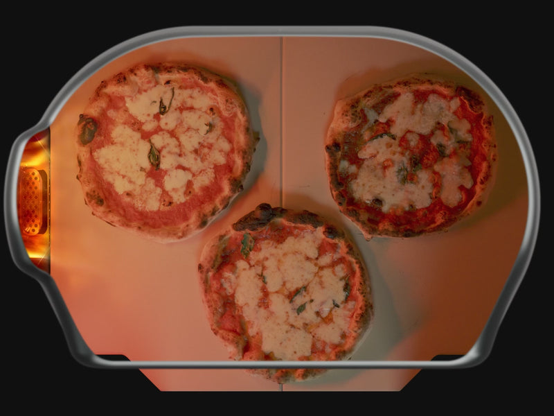 Load and play video in Gallery viewer, Dome XL (Gen 2)
